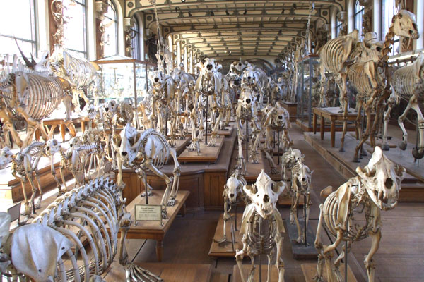 Jardin des Plantes image 3